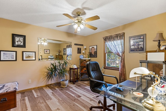 office area featuring ceiling fan, light hardwood / wood-style flooring, and a textured ceiling