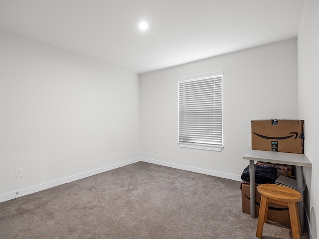 miscellaneous room with carpet