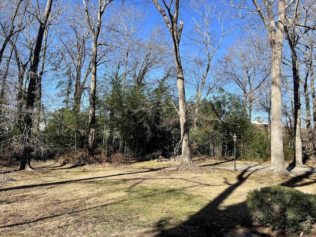 115 Fernbrook Cir, Spartanburg, SC 29307 - view of yard