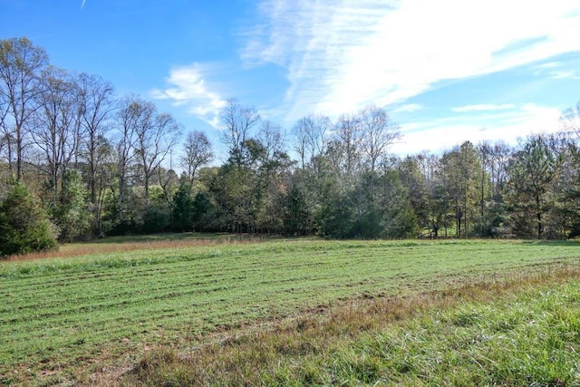 view of yard with a rural view