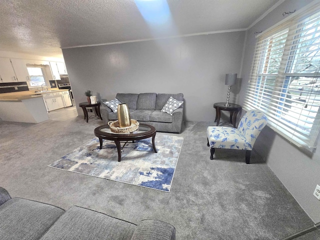 living room featuring light colored carpet, a textured ceiling, ornamental molding, and a healthy amount of sunlight