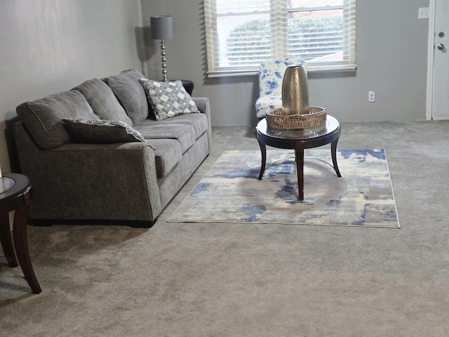 living room featuring carpet floors