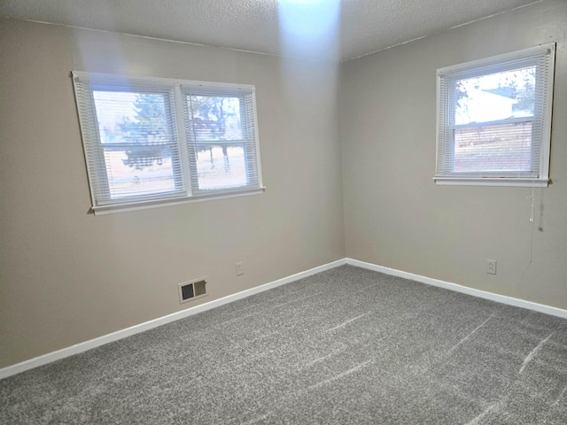 spare room featuring carpet floors, a textured ceiling, and a wealth of natural light