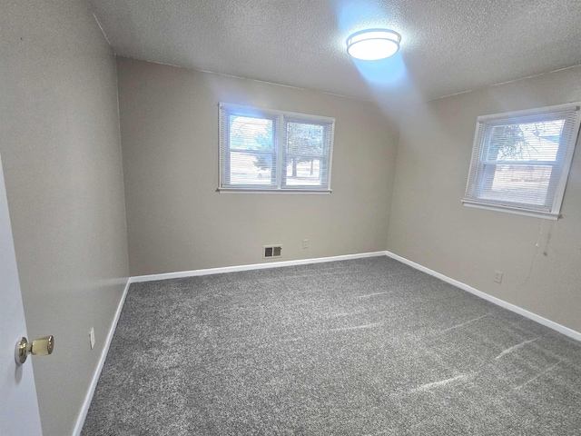 additional living space with carpet and a textured ceiling