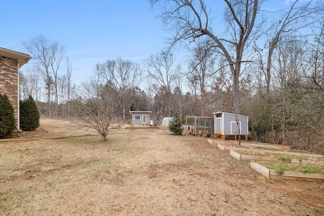 view of yard with a storage shed