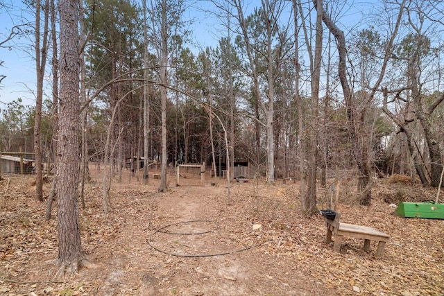 view of local wilderness