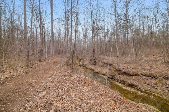 view of local wilderness