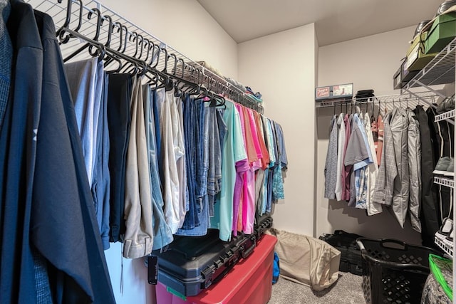 spacious closet with carpet flooring