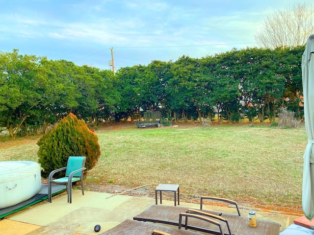 view of yard featuring a patio area