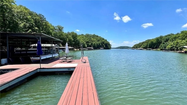 dock area featuring a water view