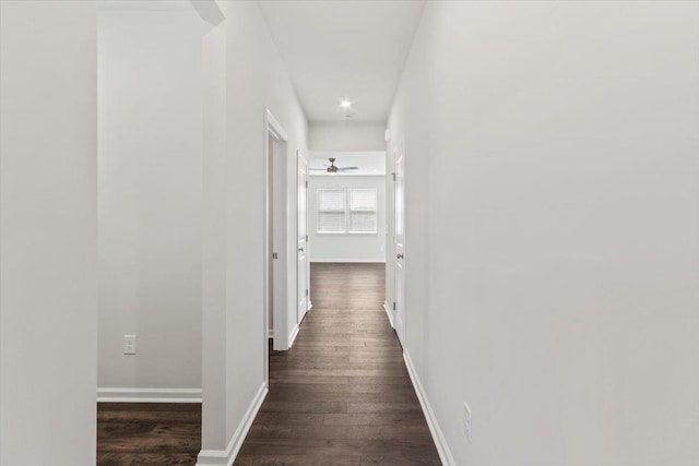 corridor with dark wood-type flooring