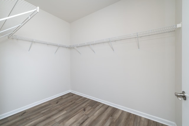 walk in closet with dark wood-type flooring