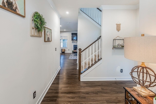 hallway featuring dark wood-type flooring