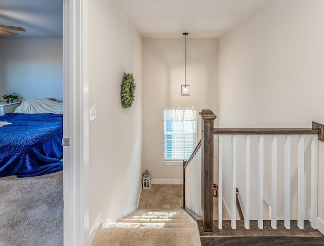 stairs with ceiling fan and carpet floors