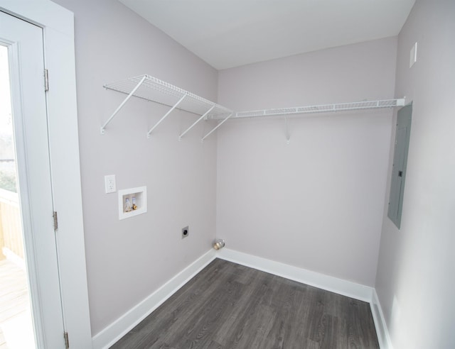 washroom featuring electric dryer hookup, hookup for a washing machine, dark hardwood / wood-style flooring, and electric panel