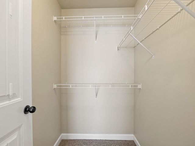 spacious closet with carpet floors