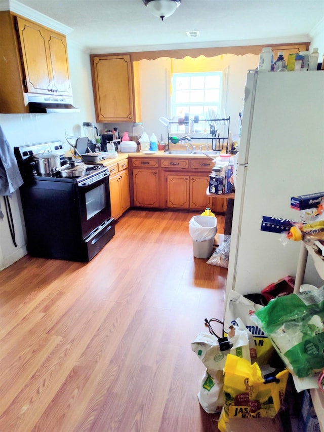 kitchen with white fridge, sink, electric range, and light hardwood / wood-style floors