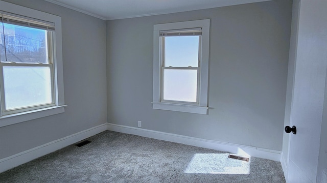 carpeted spare room featuring ornamental molding