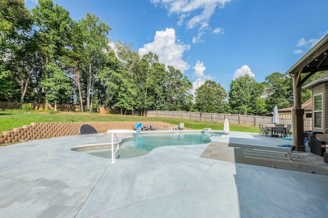 view of pool featuring a patio