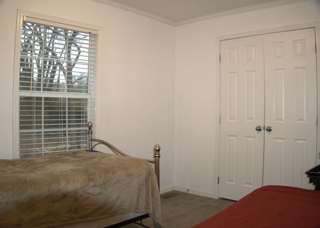 carpeted bedroom featuring ornamental molding and a closet