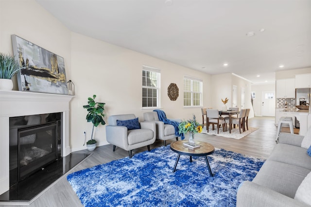 living room featuring hardwood / wood-style floors