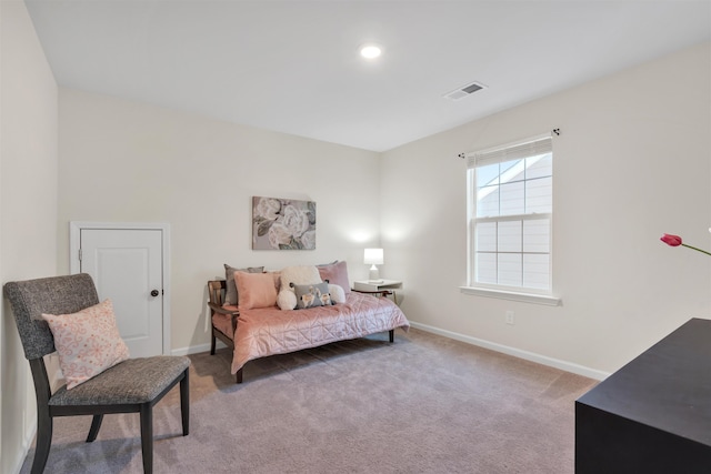 bedroom with carpet flooring