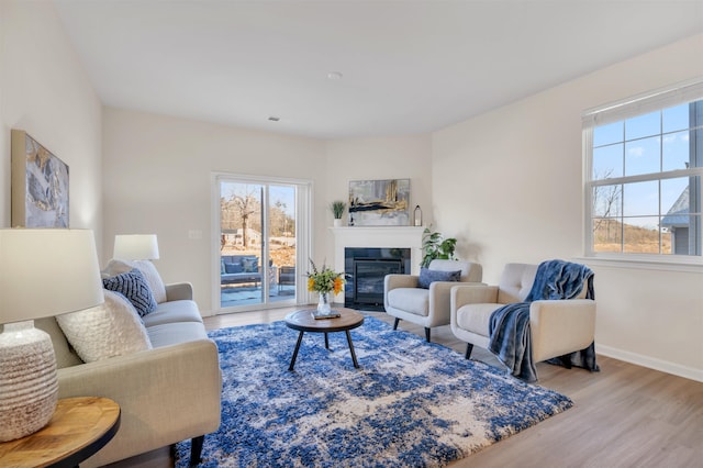 living room with a healthy amount of sunlight and light hardwood / wood-style floors