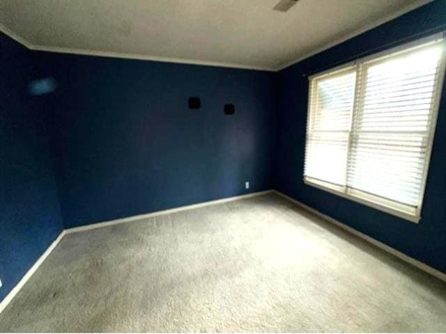 unfurnished room featuring carpet floors