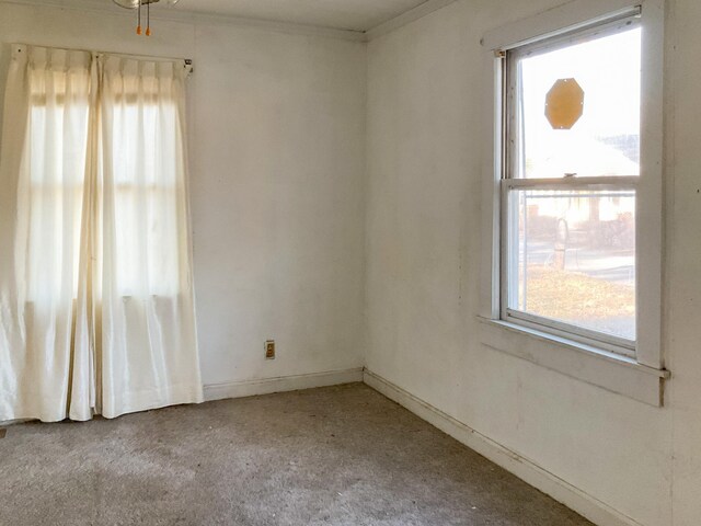 spare room with crown molding and a wealth of natural light