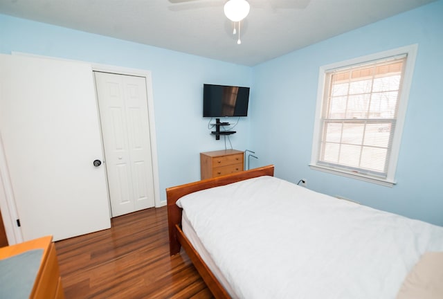 bedroom with ceiling fan, dark hardwood / wood-style flooring, and a closet