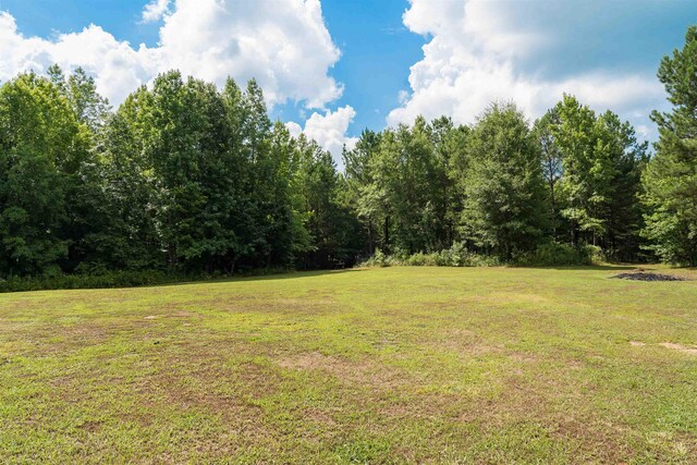 841 Browning, Enoree, SC 29335 - view of yard