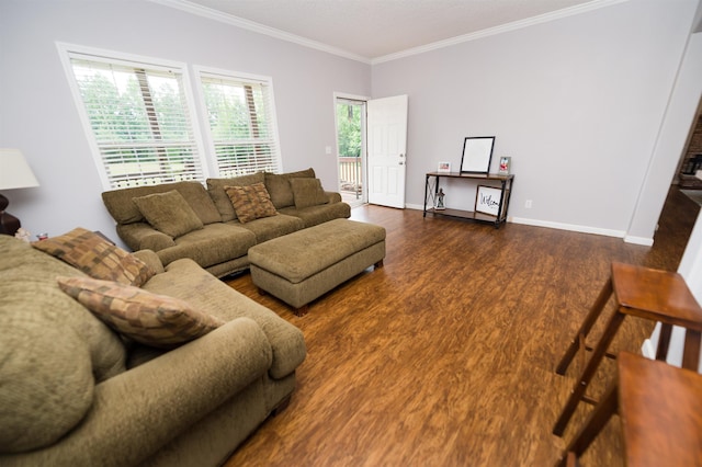 841 Browning, Enoree, SC 29335 - living room featuring crown molding and dark wood-type flooring