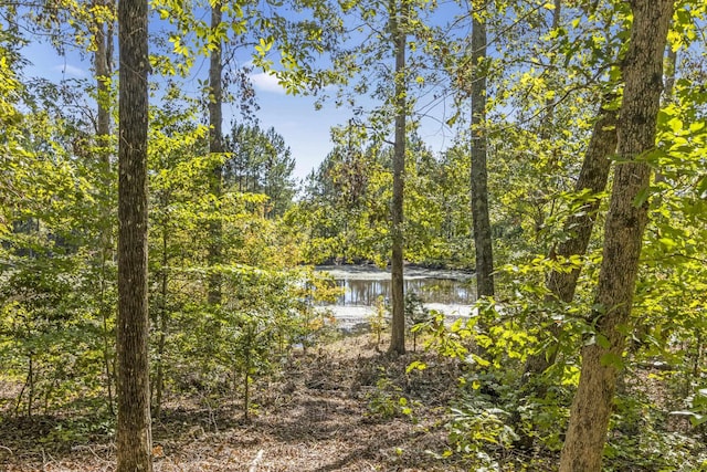 view of local wilderness featuring a water view