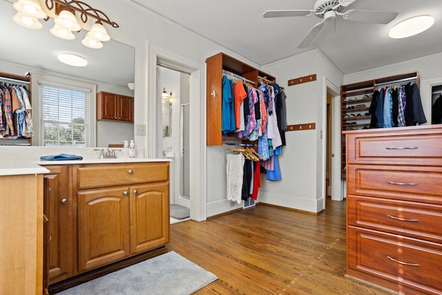 interior space featuring hardwood / wood-style flooring, vanity, a shower with door, and ceiling fan with notable chandelier