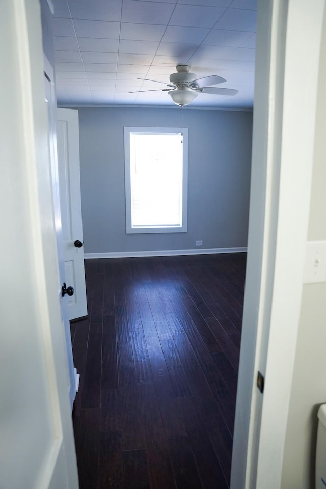 empty room featuring dark hardwood / wood-style floors and ceiling fan