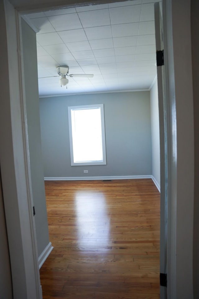 empty room with crown molding, wood-type flooring, and ceiling fan