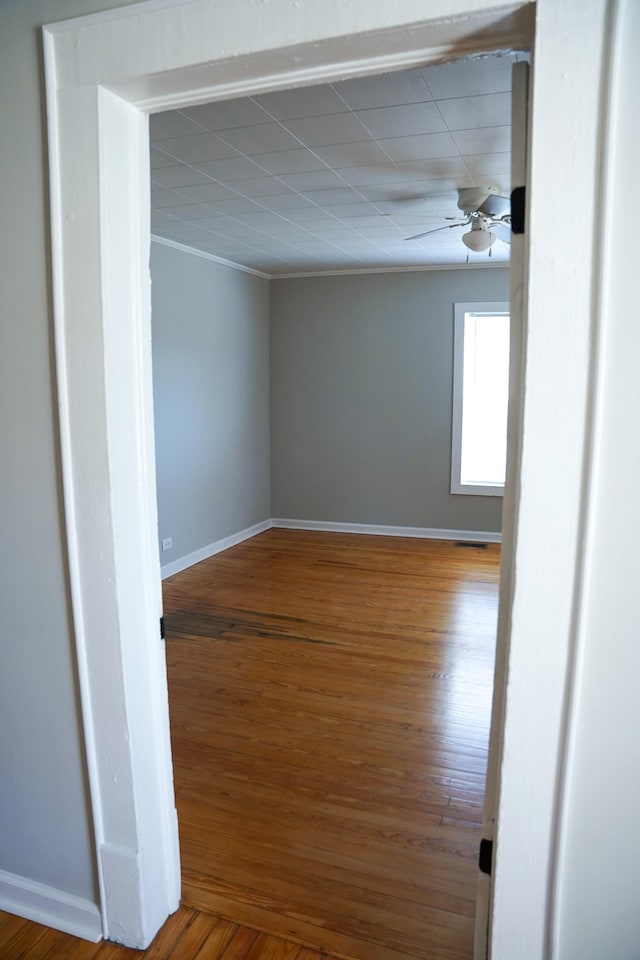 empty room featuring wood-type flooring and ceiling fan