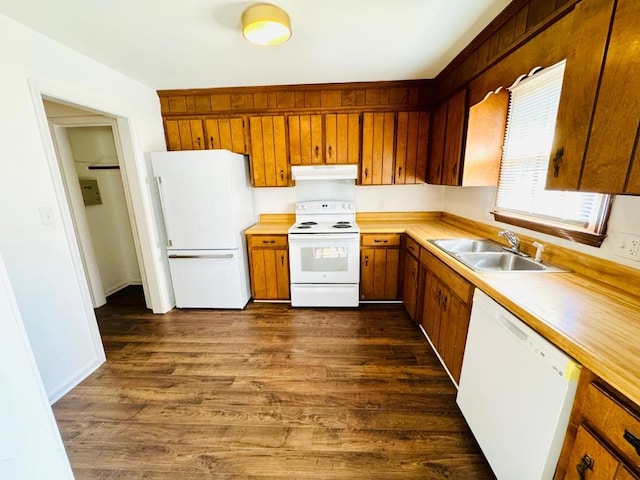 kitchen with under cabinet range hood, white appliances, a sink, light countertops, and brown cabinets