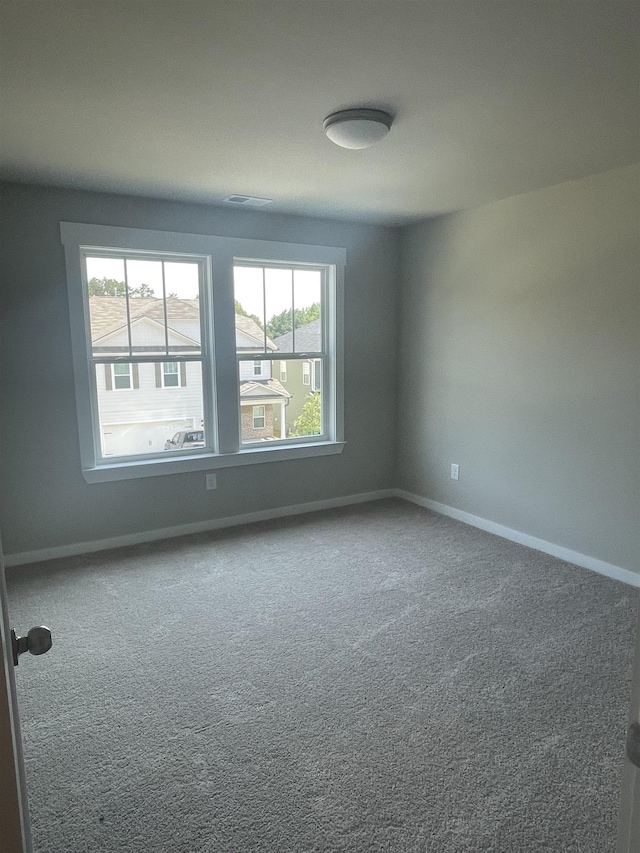 spare room with carpet flooring and a wealth of natural light