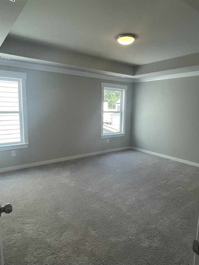 spare room featuring carpet floors