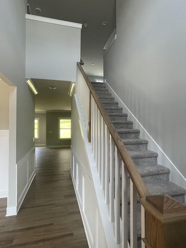 staircase with wood-type flooring