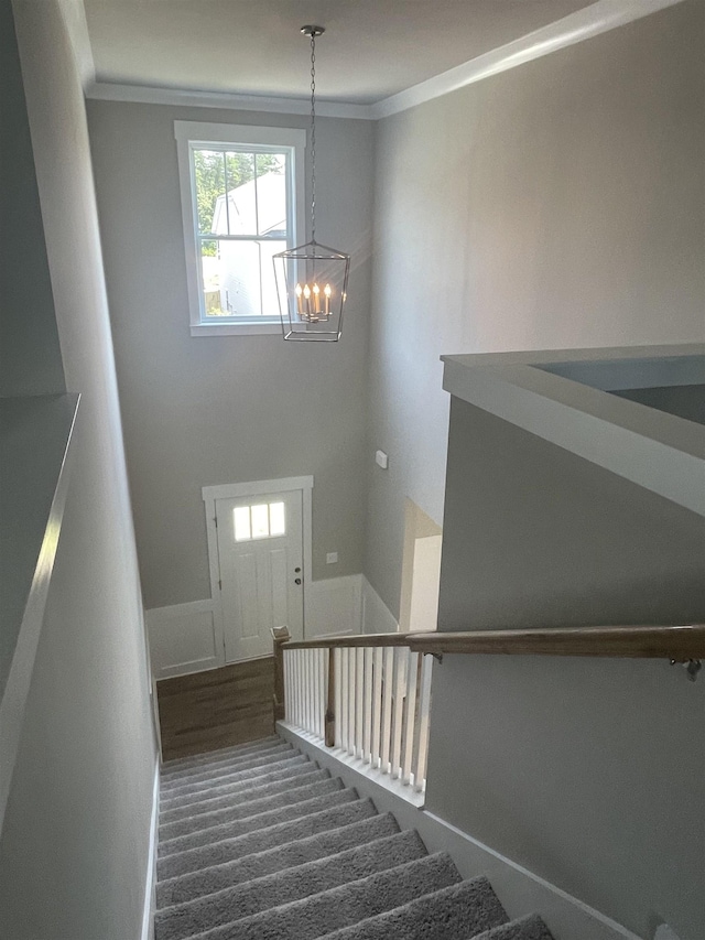 stairway featuring an inviting chandelier, ornamental molding, and carpet