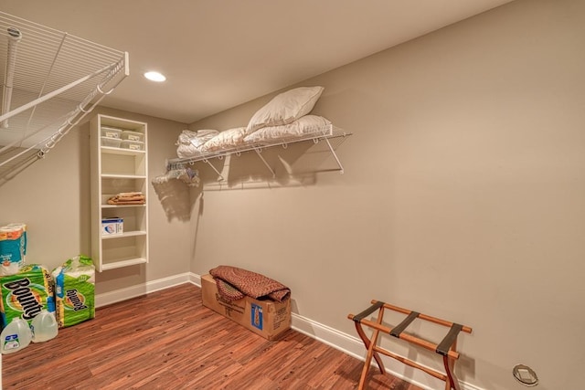 walk in closet with wood-type flooring