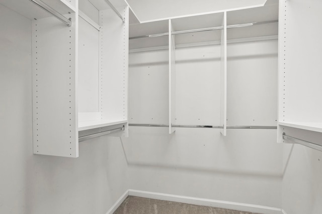 spacious closet with carpet floors