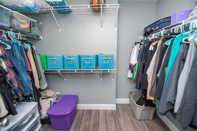 walk in closet featuring hardwood / wood-style flooring