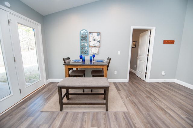 dining room featuring hardwood / wood-style flooring