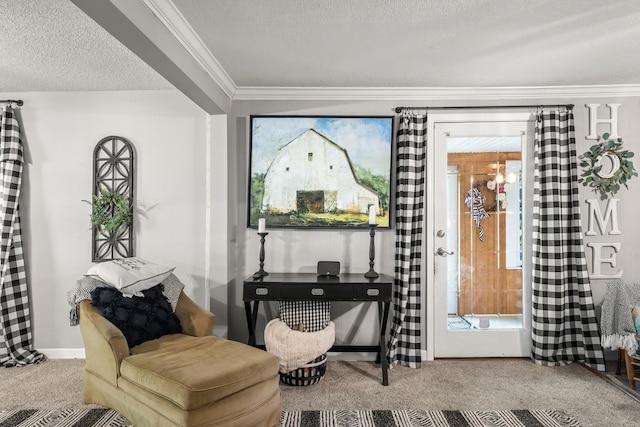 sitting room with ornamental molding, a textured ceiling, and carpet