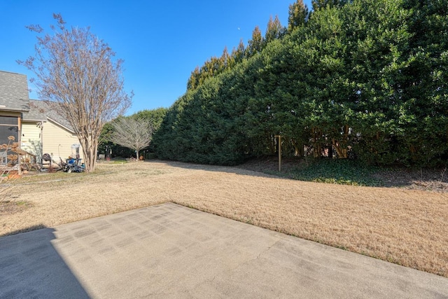 view of yard featuring a patio area