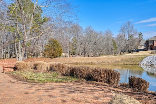 view of yard featuring a water view