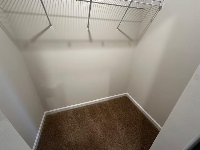 walk in closet with carpet